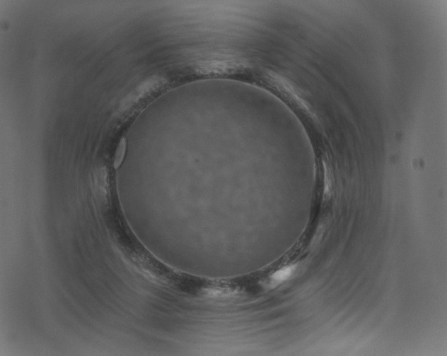 X0000074340211200608251359