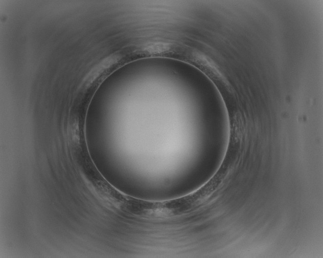 X0000074340212200608251359