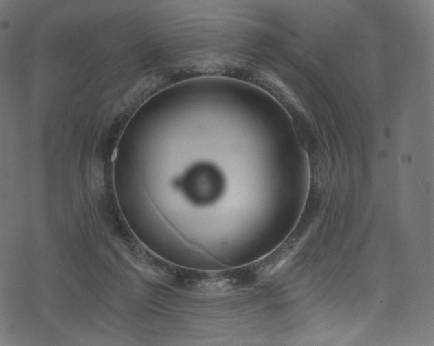 X0000074340213200608251359