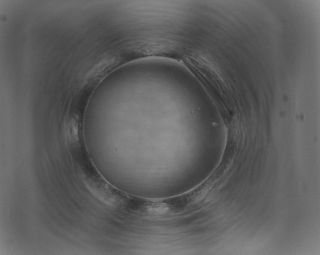 X0000074340214200608251359