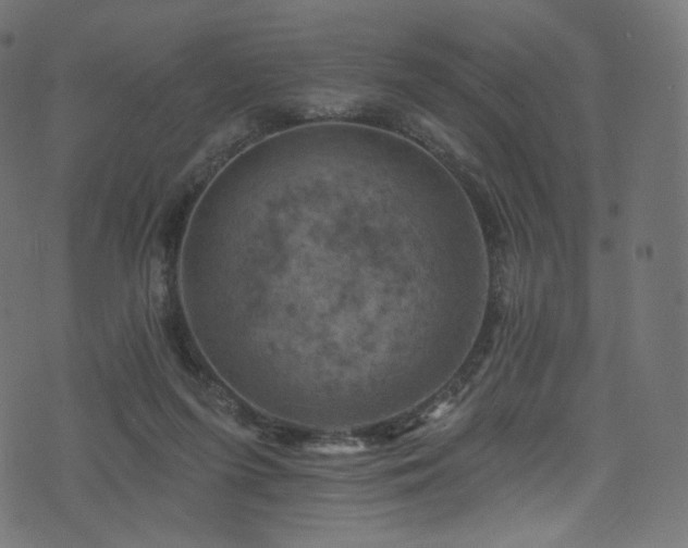 X0000074340215200608251359