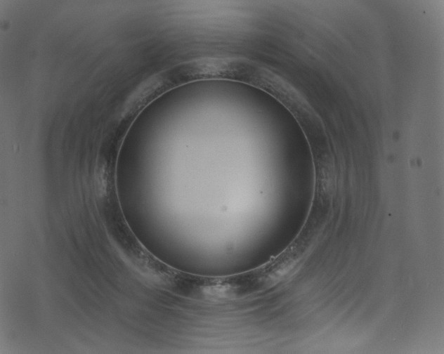 X0000074340216200608251359