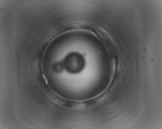 X0000074340217200608251359