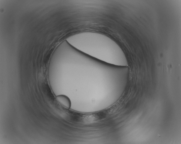 X0000074340218200608251359