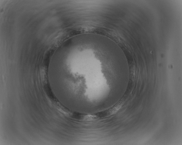 X0000074340222200608251359