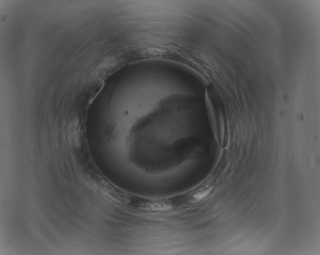 X0000074340223200608251359