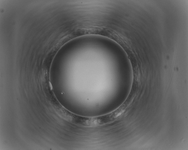 X0000074340225200608251359