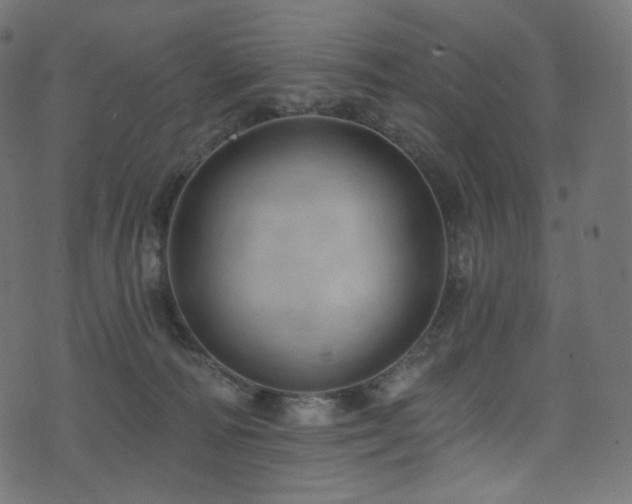 X0000074340226200608251359