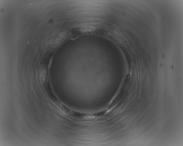 X0000074340227200608251359