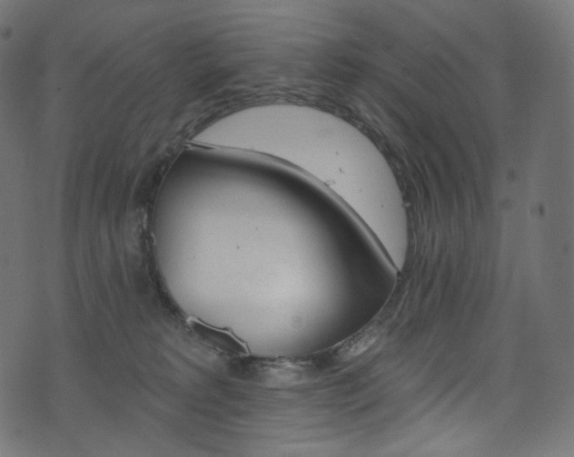 X0000074340229200608251359