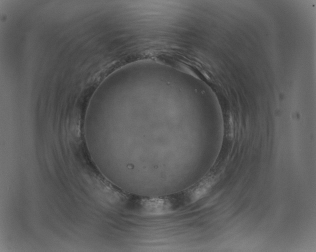 X0000074340230200608251359