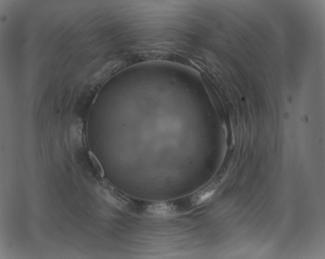 X0000074340231200608251359