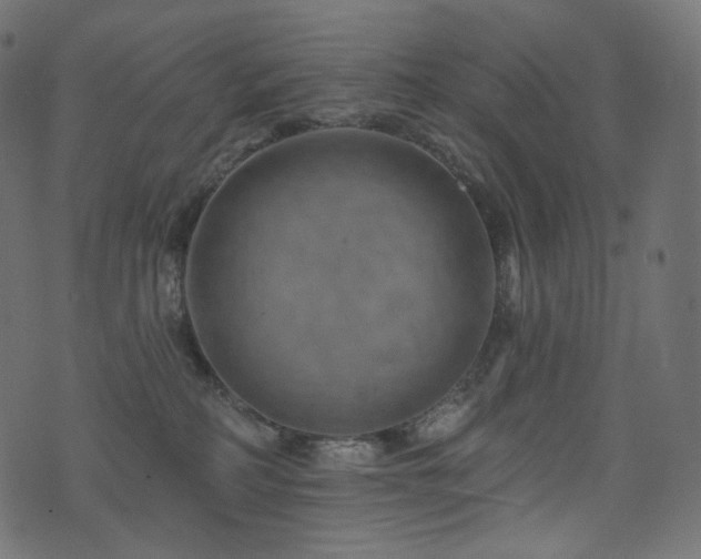 X0000074340234200608251358