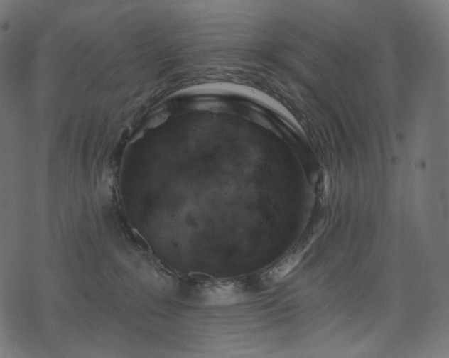 X0000074340235200608251358