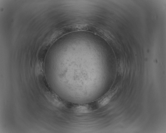 X0000074340236200608251358