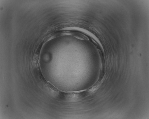 X0000074340237200608251358