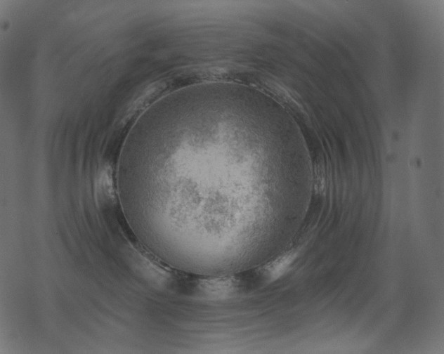 X0000074340238200608251358