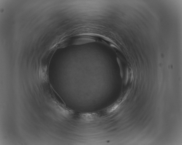 X0000074340239200608251358