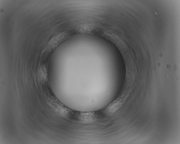 X0000074340240200608251358