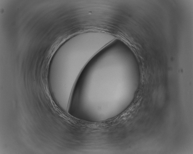 X0000074340241200608251358