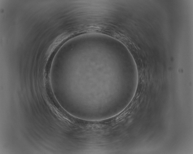 X0000074340242200608251358