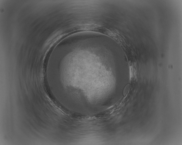 X0000074340243200608251358