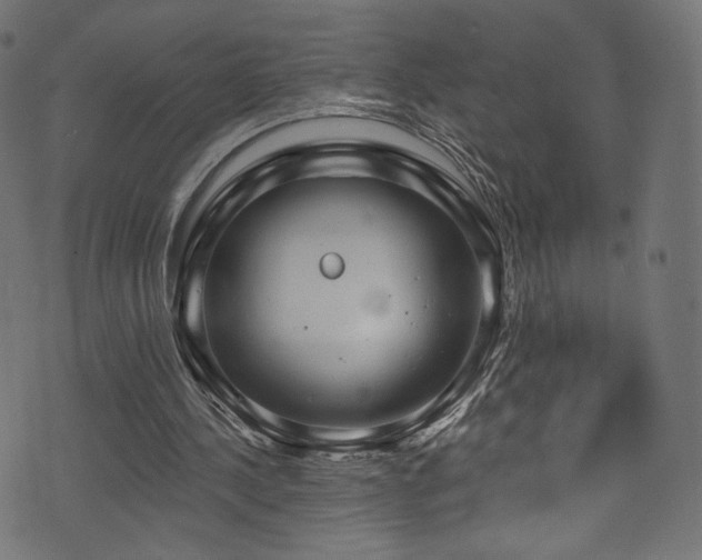 X0000074340244200608251358