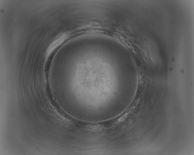 X0000074340245200608251358