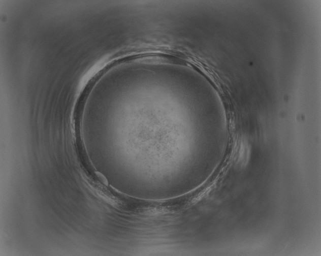 X0000074340246200608251358