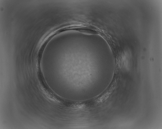 X0000074340247200608251358