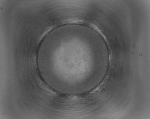 X0000074340249200608251358