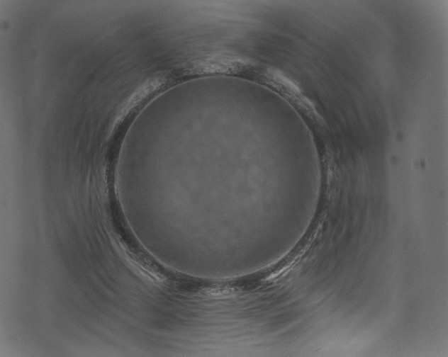 X0000074340250200608251358