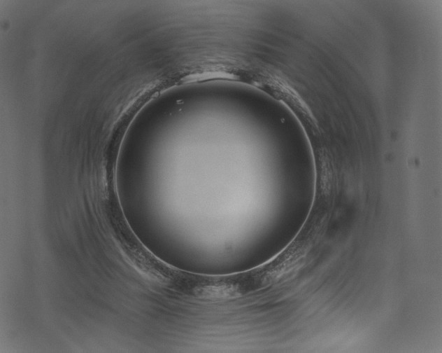 X0000074340251200608251358