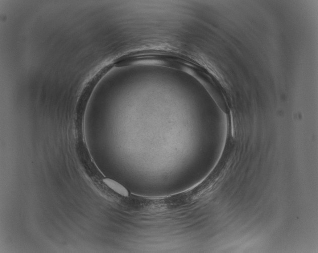 X0000074340252200608251358