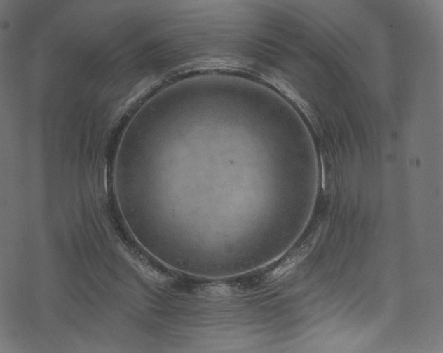 X0000074340253200608251358