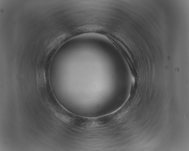 X0000074340254200608251358