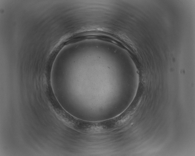 X0000074340256200608251358