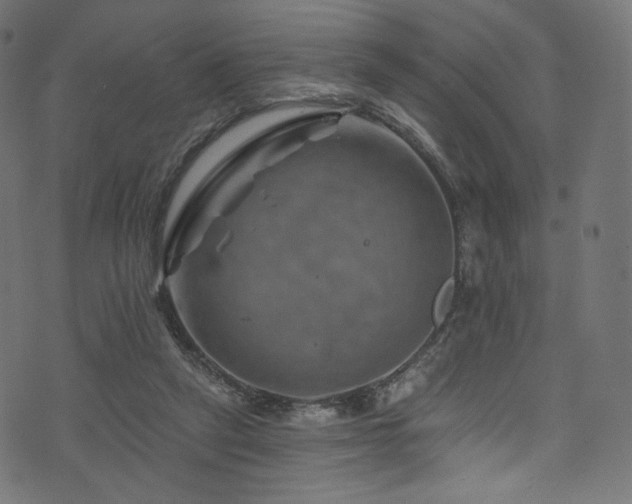 X0000074340257200608251358