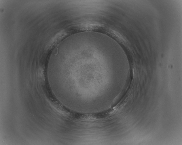 X0000074340258200608251358