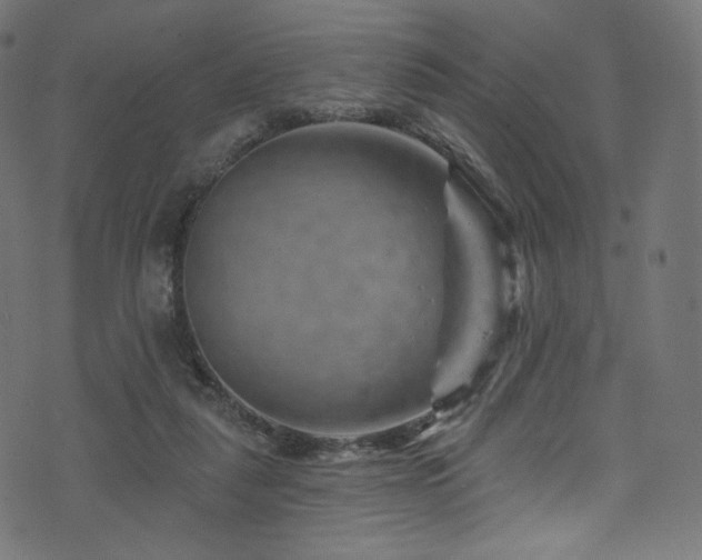 X0000074340259200608251358