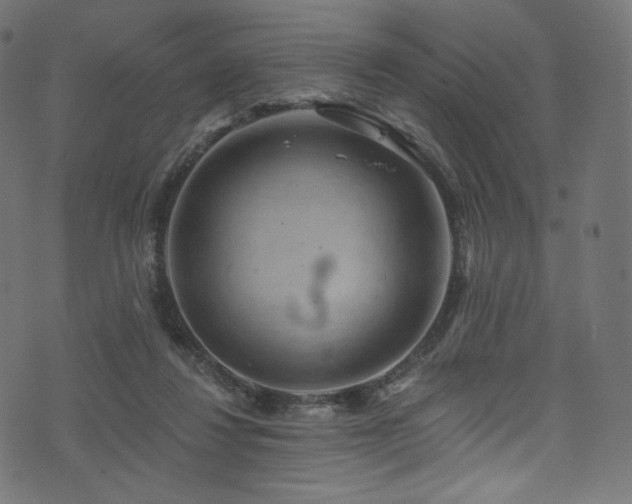 X0000074340260200608251358