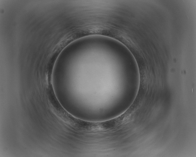 X0000074340262200608251358