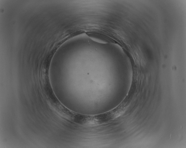 X0000074340263200608251358