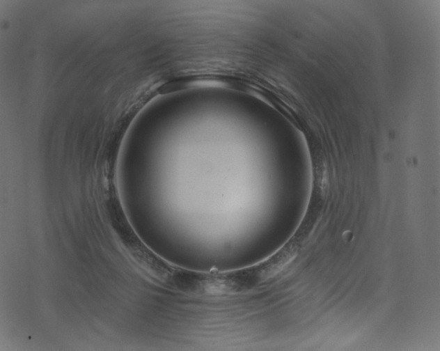 X0000074340264200608251358