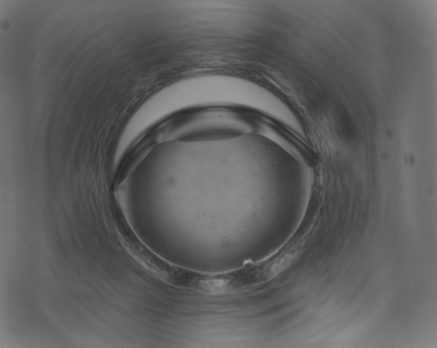 X0000074340265200608251358