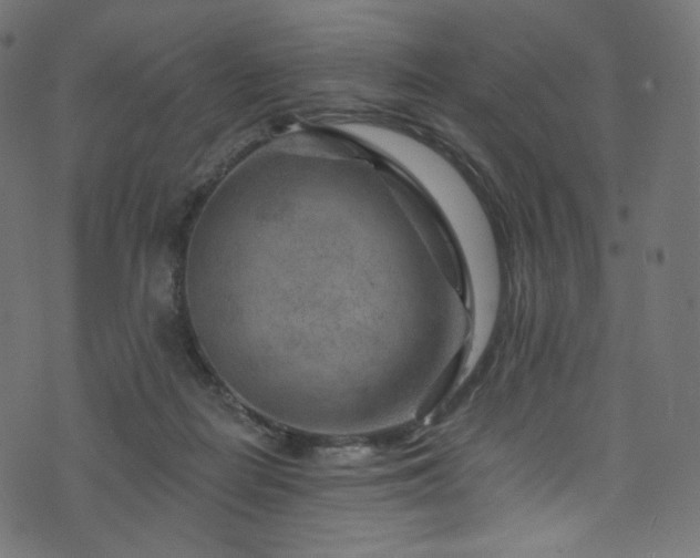 X0000074340266200608251358