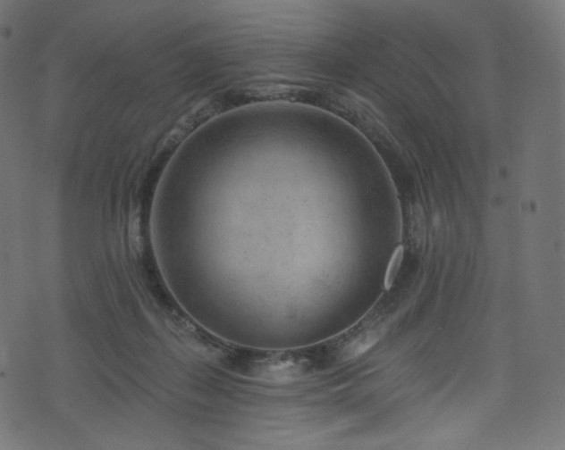 X0000074340267200608251358