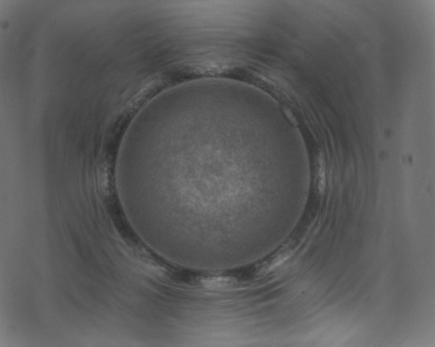 X0000074340268200608251358