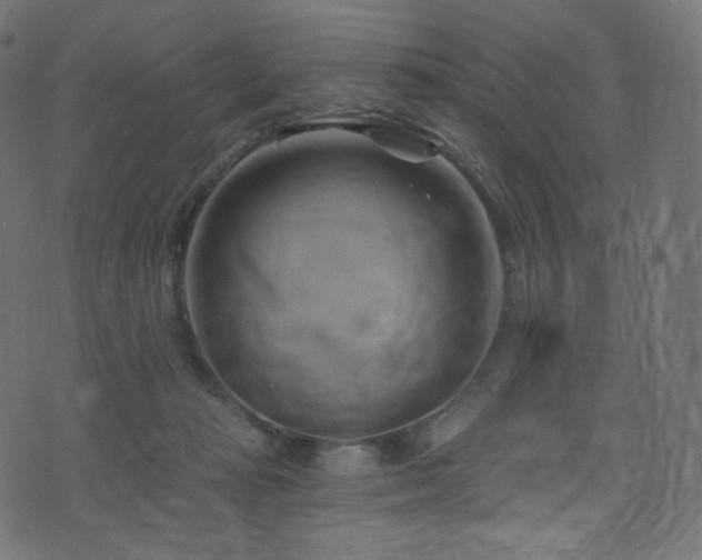 X0000074340269200608251358