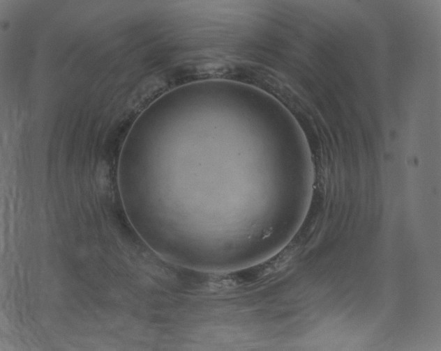 X0000074340270200608251358